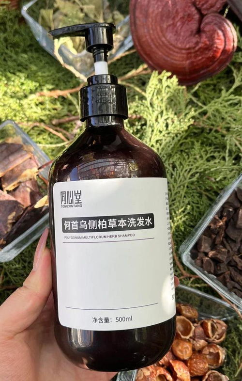 告別脫發(fā)困擾！2024平價(jià)防脫育發(fā)產(chǎn)品盤點(diǎn)，這四款值得一試