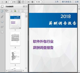2018軟件外包行業薪酬調查報告69頁